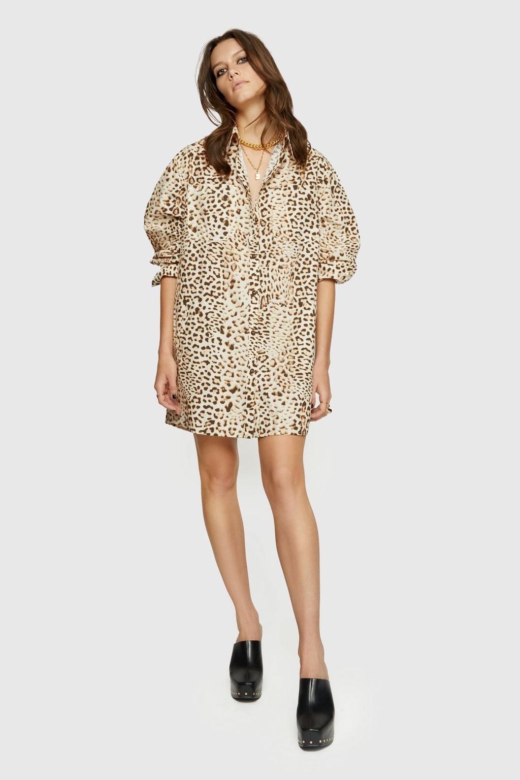 ecru animal Color Name,